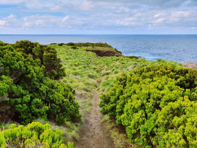 Terceira Island: Baías da Agualva Hike + Picnic + Biscoitos - Authentic Touches from Reviewers  