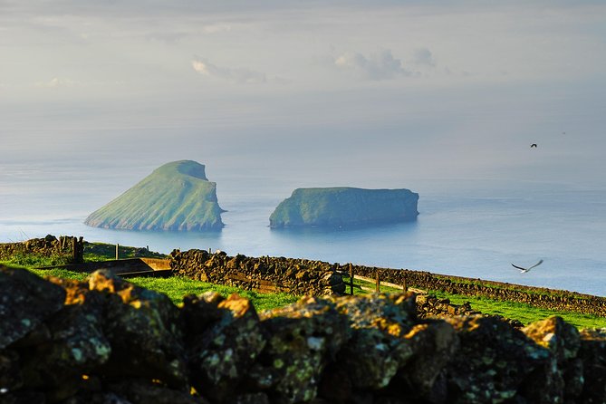 Terceira Island Best Viewpoints: Half Day Tour - Inclusions