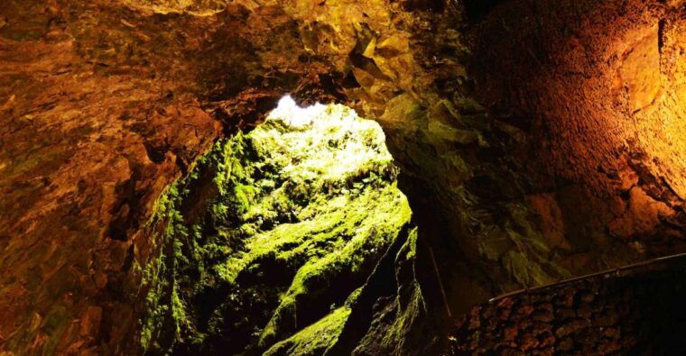 Terceira Island: Caves and Craters Tour - Final Thoughts