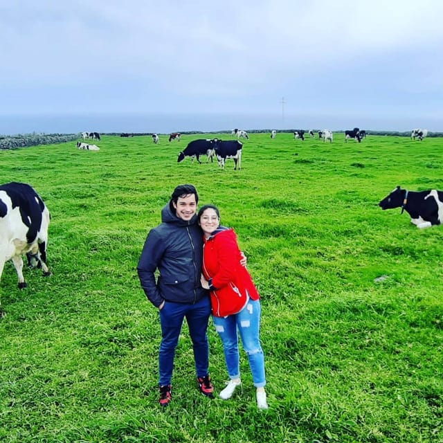 Terceira Island: Full Day Van Tour - Why the Experience Works