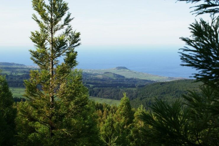 Terceira Island: Half-Day 4X4 Tour - Activities & Experience