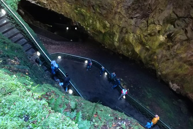 Terceira Island Half Day Geo Tour - Inclusions and Information
