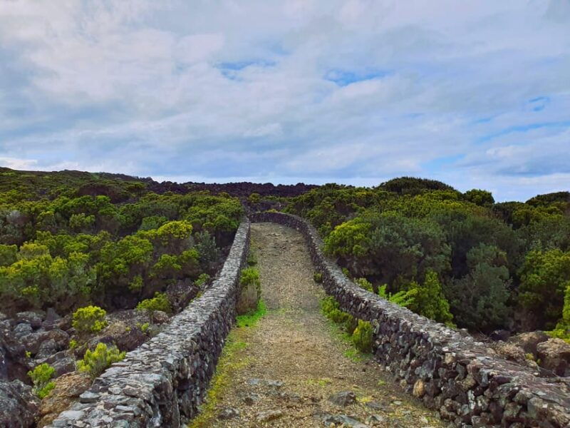 Terceira Island Half Day Hiking Trail: Baías da Agualva - An In-Depth Look at the Baías da Agualva Trail Experience