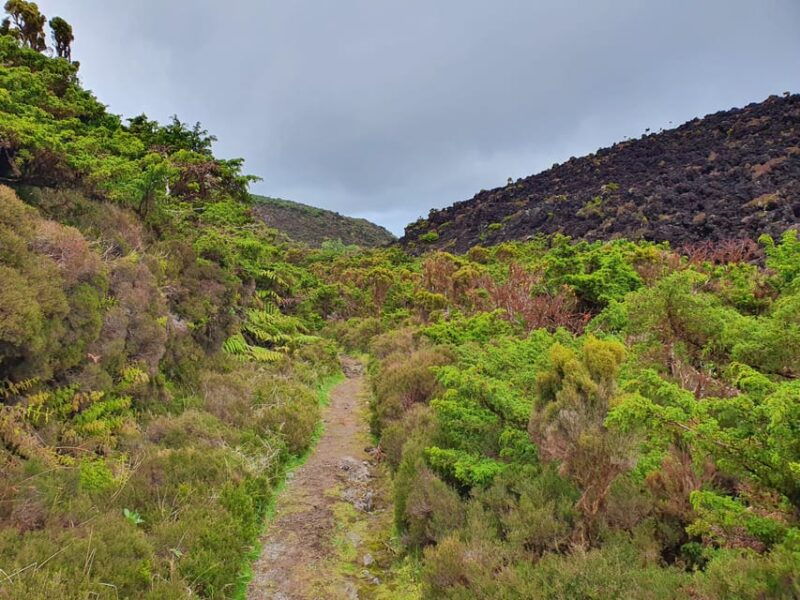 Terceira Island Half Day Hiking Trail: Mistérios Negros - The Itinerary in Detail