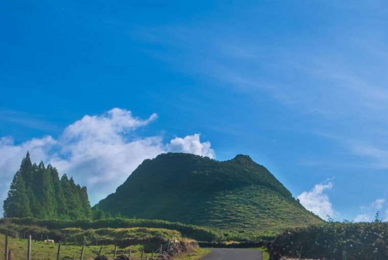 Terceira Island Half Day Hiking Trail: Mistérios Negros - Who Will Love This Tour?
