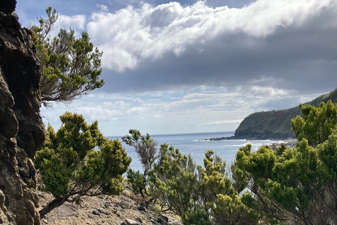 Terceira Island Half Day Pure Air Hiking Trails - Hiking Trail Features