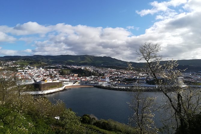 Terceira Island Half Day Tour - Reviews
