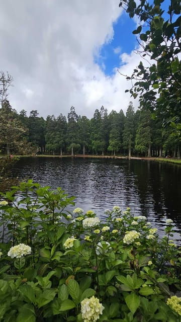 Terceira Island : Half-Day Van Tour to the Caves - Value for Money
