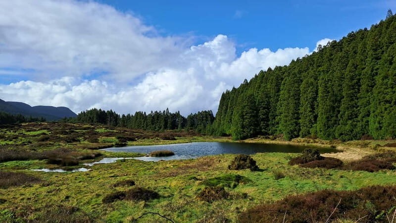 Terceira Island: Highlights Tour with Traditional Lunch - Who is this tour best suited for?