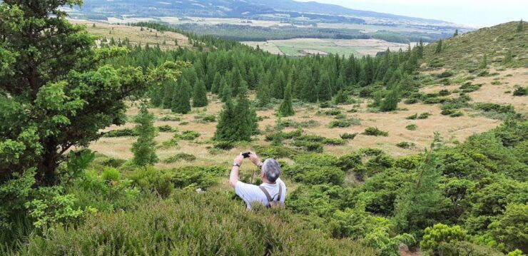 Terceira Island: Hiking Trail Rocha Do Chambre - Activity Details