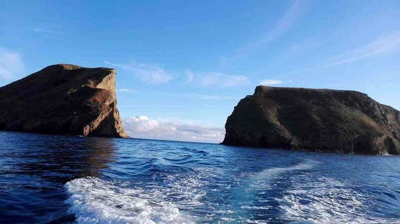Terceira Island: Ilhéu das Cabras Boat Tour + Snorkeling - Good To Know