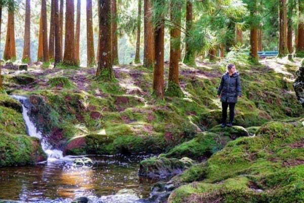 Terceira Island : Island Highlights Day Tour With Lunch - Important Information for Tour Preparation