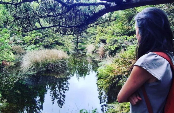 Terceira Island: Mistérios Negros Hiking Trail - Experience Highlights