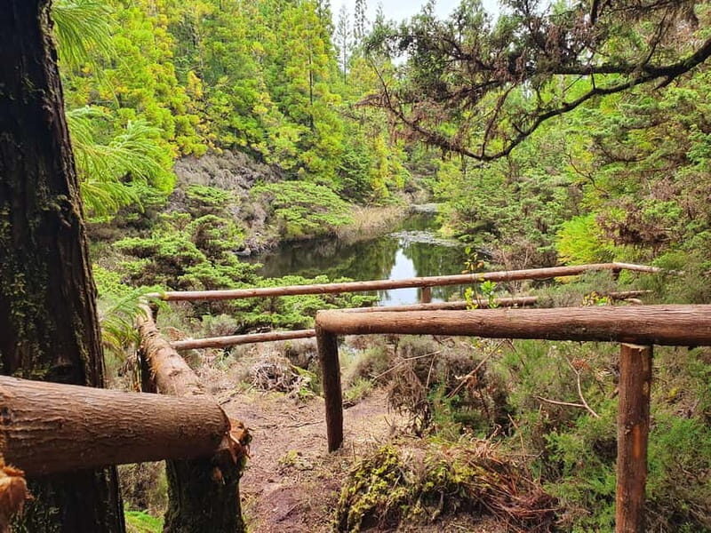 Terceira Island: Mistérios Negros & Mist. Novo Hike w/picnic - Good To Know