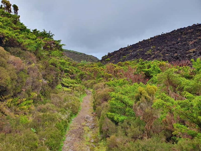 Terceira Island: Mistérios Negros & Mist. Novo Hike w/picnic - A Deep Dive into the Experience