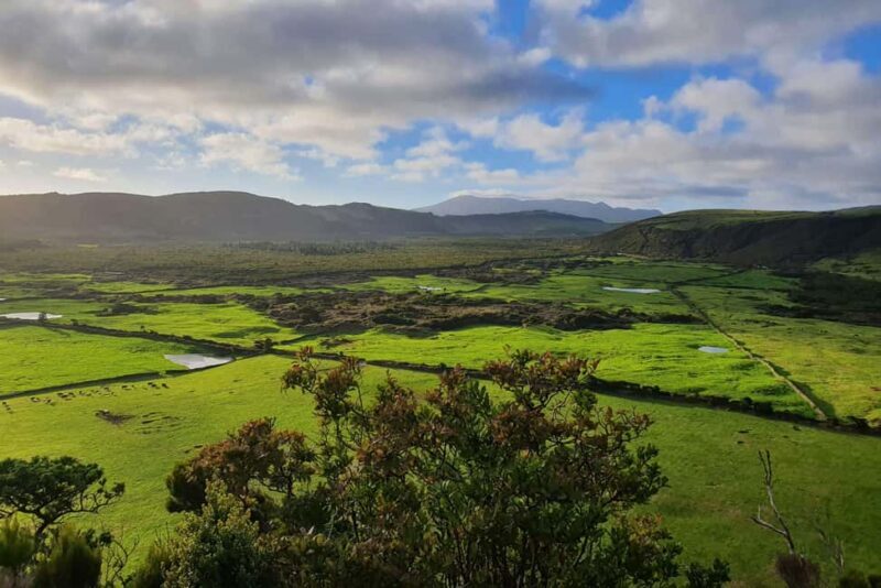 Terceira Island: Passagem das Bestas Hike w/Cheese Tasting - Practical Details and What to Bring