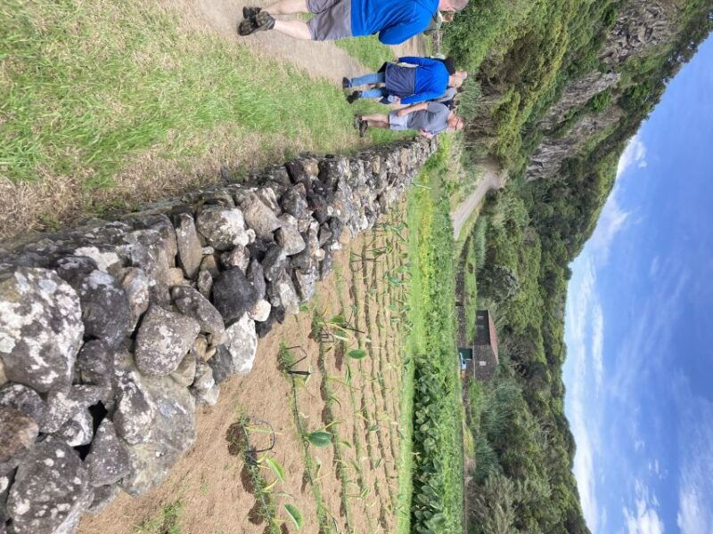 Terceira Island Scenic Hiking Trails Tour (Shared Tour) - Final Thoughts