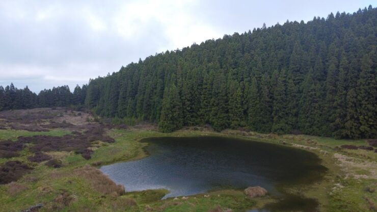 Terceira: Island Tour - Booking Process Details