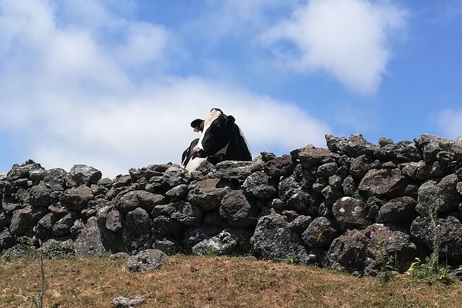Terceira Island Transfers Azores - Pickup Points