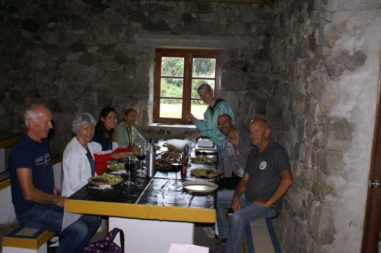 Terceira Island Whale Watching and Jeep Tour - Experience Highlights