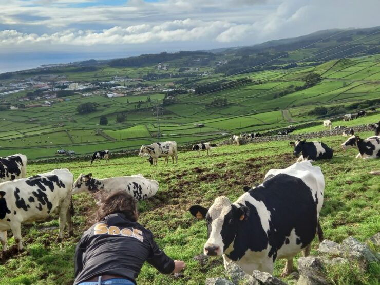 Terceira - Private Group - Half Day Guided Bus Tour - Tour Inclusions