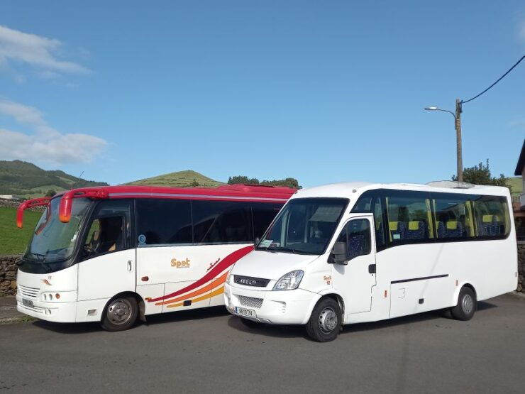 Terceira - Private Group - Half Day Guided Bus Tour - Itinerary Highlights