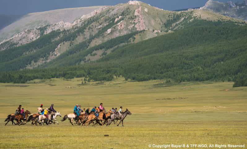 Terelj National Park: Tour with horse riding and hiking - Introduction: Discovering Mongolia in Two Days