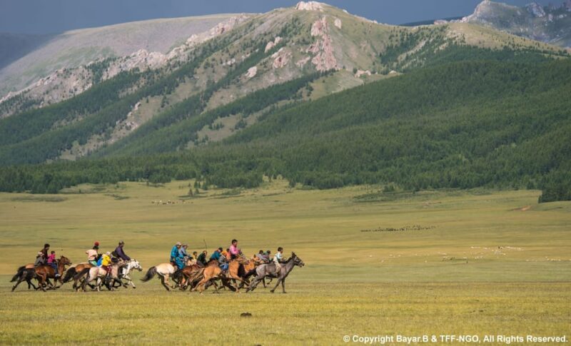 Terelj National Park: Tour with horse riding and hiking - Transportation, Accommodation, and Value
