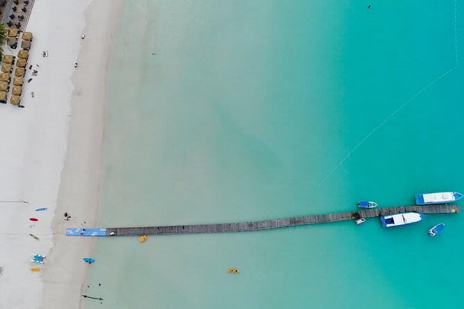 Terengganu Airport Private Transfer (Arrival/Departure) - The Sum Up: Who Will Benefit Most?