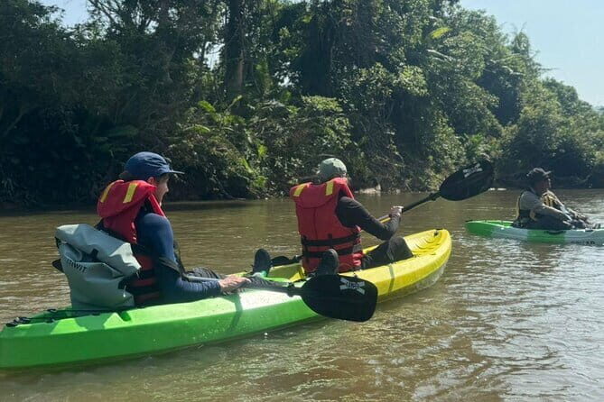 Terengganu Wildlife Kayak Tour - An In-depth Look at the Terengganu Wildlife Kayak Tour