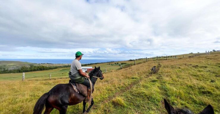 Terevaka Horse Excursion: the Highest Point and 360 View. - Activity Overview
