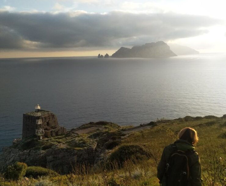 Termini: Punta Campanella Hiking Tour - Experience Highlights