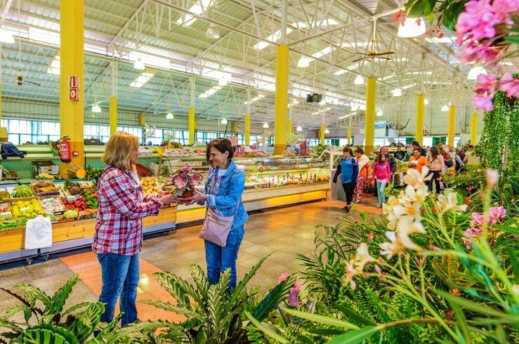Teror and San Mateo Sunday Market - Tour Details