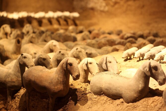 Terra-Cotta Warriors Museum and Yang Ling Mausoleum - Tour Highlights