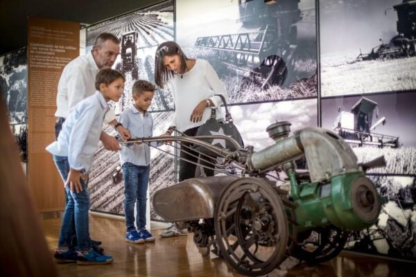 Terra Museum - Immersive Experiences