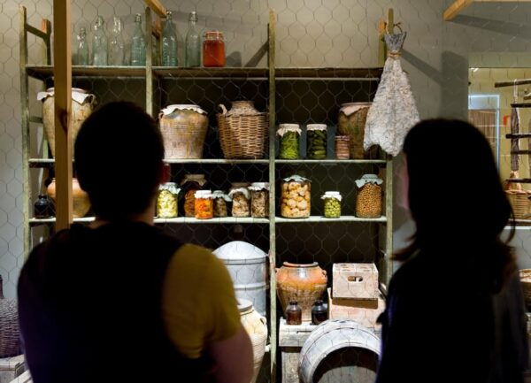 Terra Museum - Educational Activities