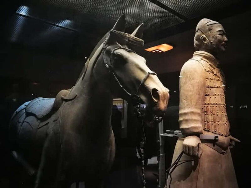 Terracotta Army E Ticket with Optional Transfer or Guide - Introduction