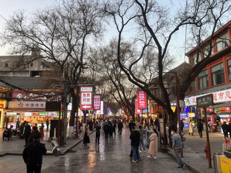 Terracotta Warriors And Xi'An DowntownTour - Tour Description