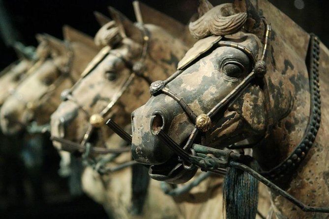 Terracotta Warriors From Qin & Han With Simulated Archaeological Digging Class - Tour Highlights