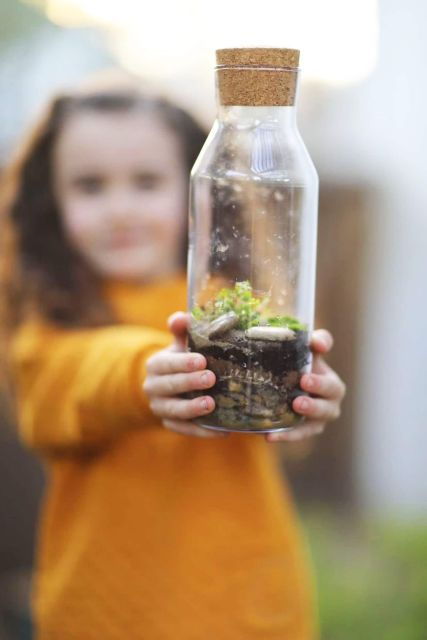 Terrarium Workshop - Workshop Details