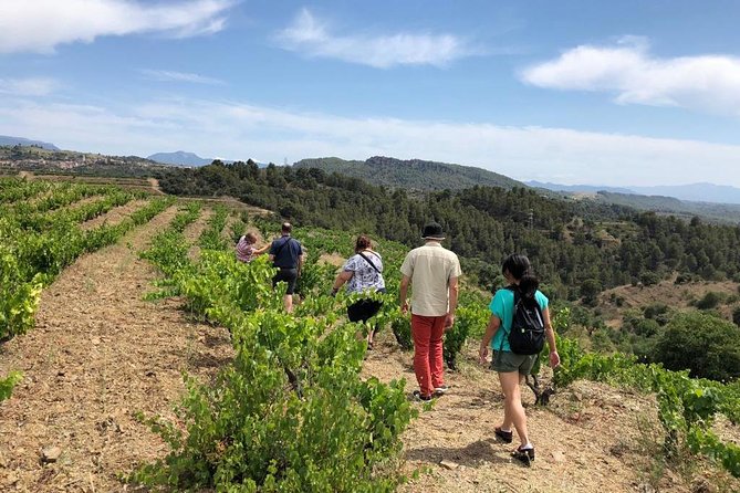 Terroir & Grapes Priorat Wineries Tour - Private Tour - Experience the Grape Varieties of Priorat