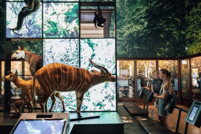 Tervuren: AfricaMuseum Entry Ticket - Common Questions