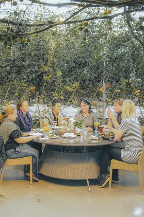 Tesla Ecotour - Exclusive Golden Circle Private Day Tour - Viator Help Center