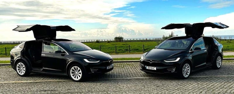 Tesla Premium Private Tours - Porto to Douro Valley - Who Will Love This Tour?