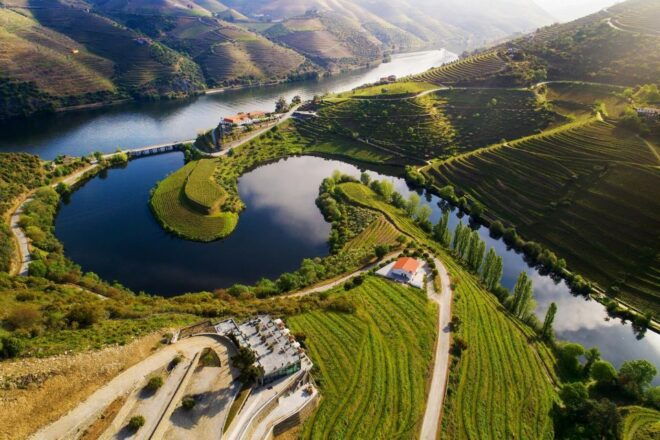 Tesla Premium Private Tours - Porto to Douro Valley - Free Cancellation Policy