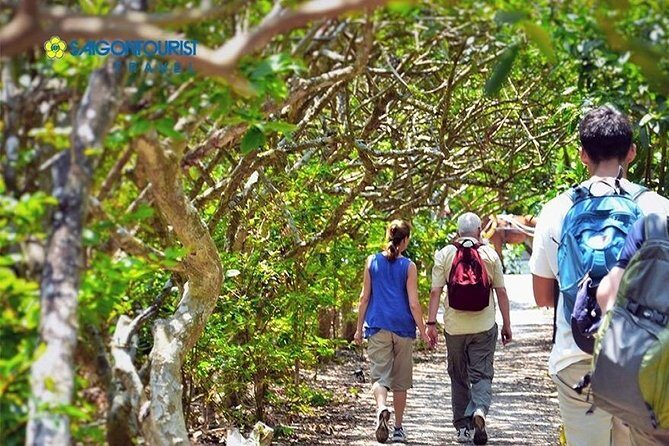 Tet Festival in Mekong Delta - Introduction: Discovering the Charm of Tet in the Mekong Delta