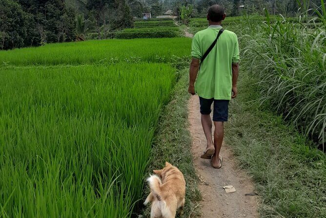 Tetebatu Countryside and Waterfall Day Tour - Final Thoughts