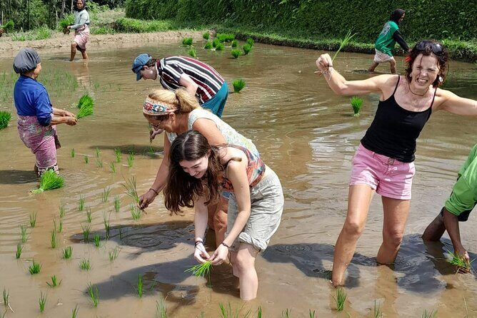 Tetebatu Countryside and Waterfall Day Tour - Good To Know