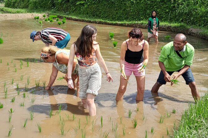 Tetebatu Countryside and Waterfall Day Tour - What Makes This Tour Stand Out?