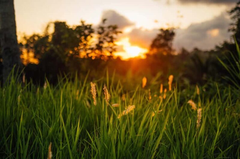 Tetebatu Day Tour: Waterfalls, Rice Fields & Local Life - Good To Know